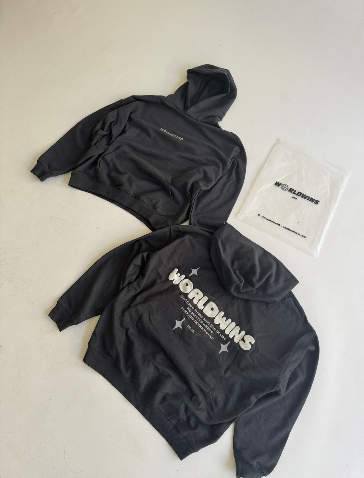 Worldwins Logo Puff Print Hoodie