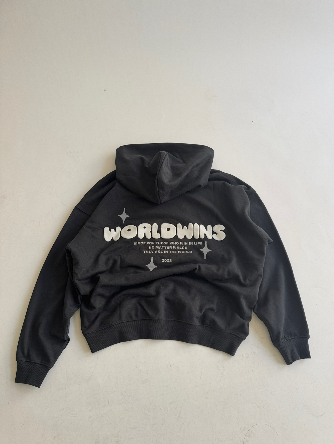 Worldwins Logo Puff Print Hoodie